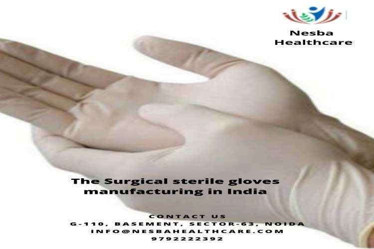 Latex Examination Gloves Powder Free Special Offer For All 163247409910