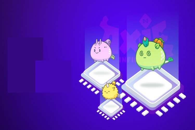 Launch An Nft Gaming Platform Like Axie Infinity 16438997302