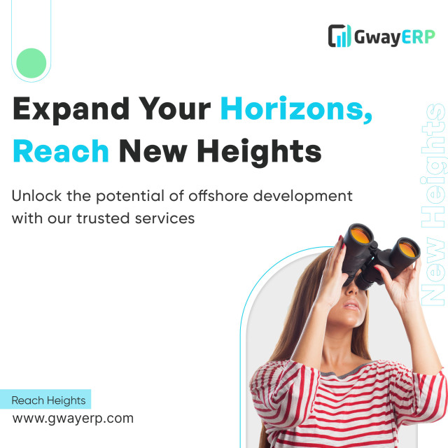 Leading Erp Custom Built Software Development 16916638180