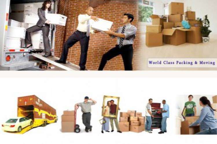 Leading Packers And Movers In Noida 409025
