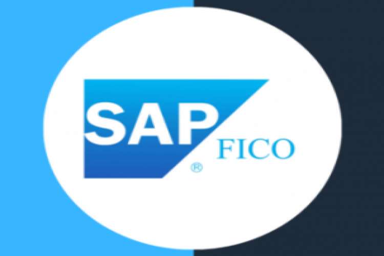 Learn Sap Fico Course In Kolkata 9394635