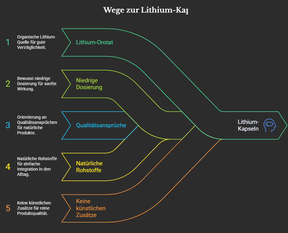 Lithium Nahrungsergnzung 17738793641