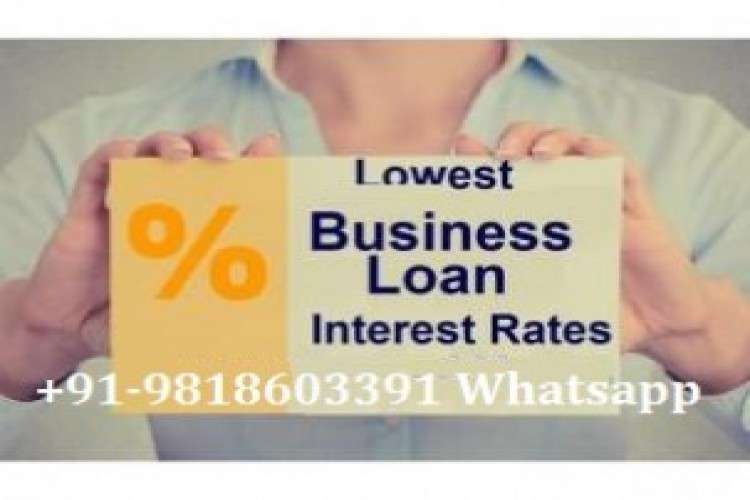 Loan Offer Everyone Apply Now 1492533