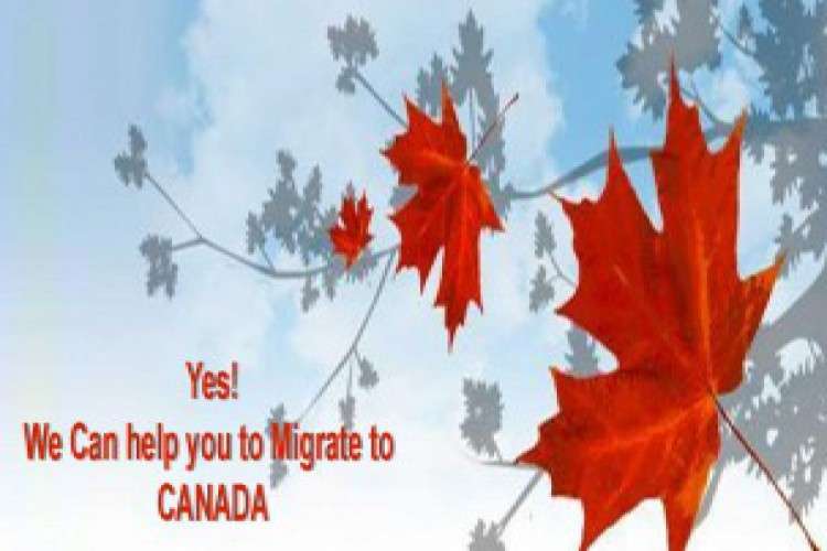 Looking For Overseas Settlement Contact Us Now 3449904
