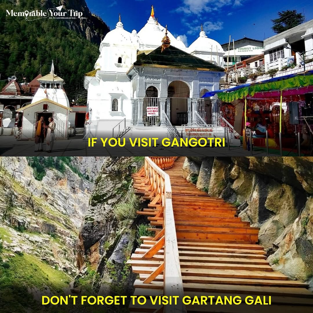 Looking For The Best Travel Agency In Faridabad 17477214546