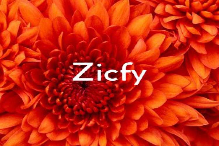 Low Budget Flat Chawal Plots And Bunglows Available Withat Miraroad 7263245