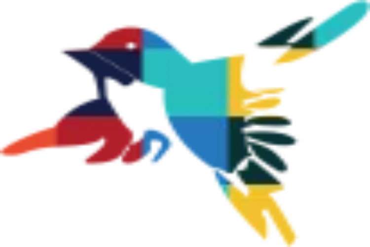 Magento Website Development In Houston Texas 16312660537