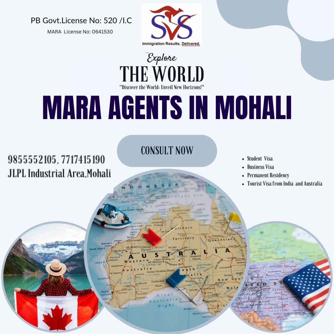 Mara Agents In Mohali Svs Consulting Group 17467732165