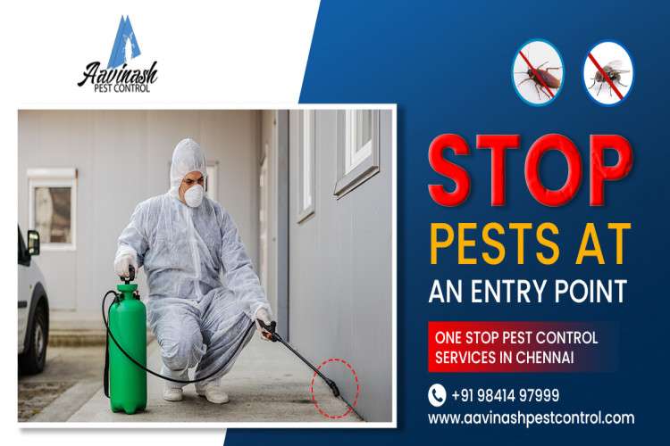 Mosquito Control Services In Chennai 16450924858