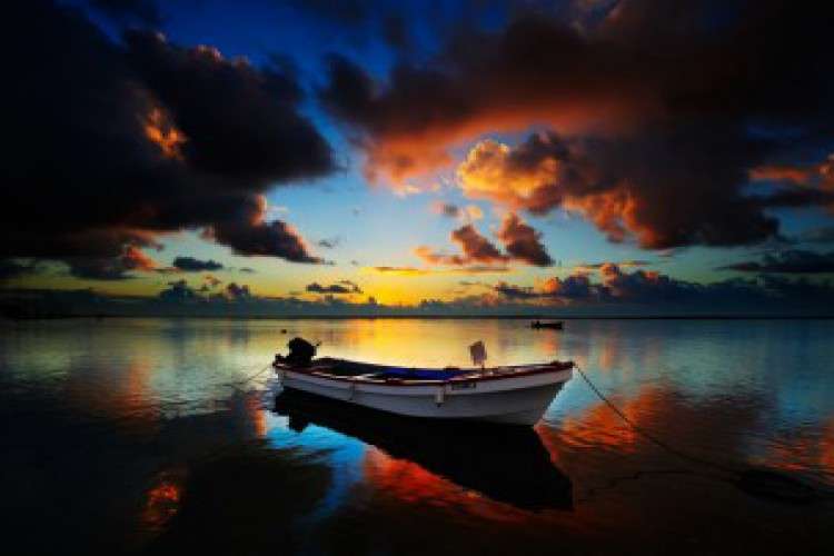 Need Actor And Accteress 5576894