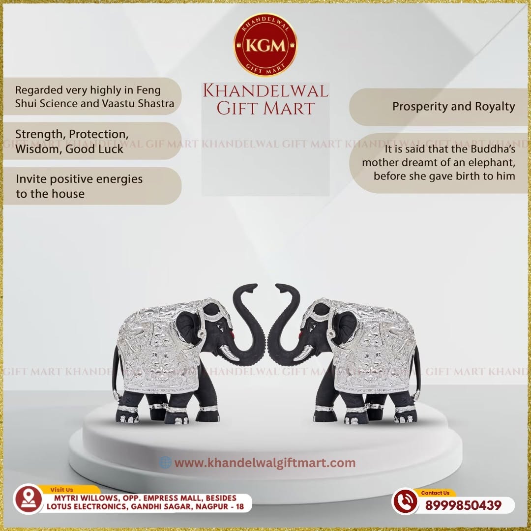 New Year Gifts In Nagpur 17676783664