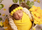 Newborn Photoshoot In Jaipur 17210383486