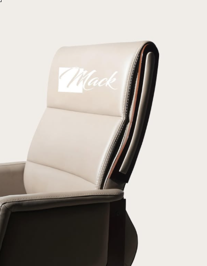 Office Chairs Office Furniture In Mohali Mack Furniture 17738346168