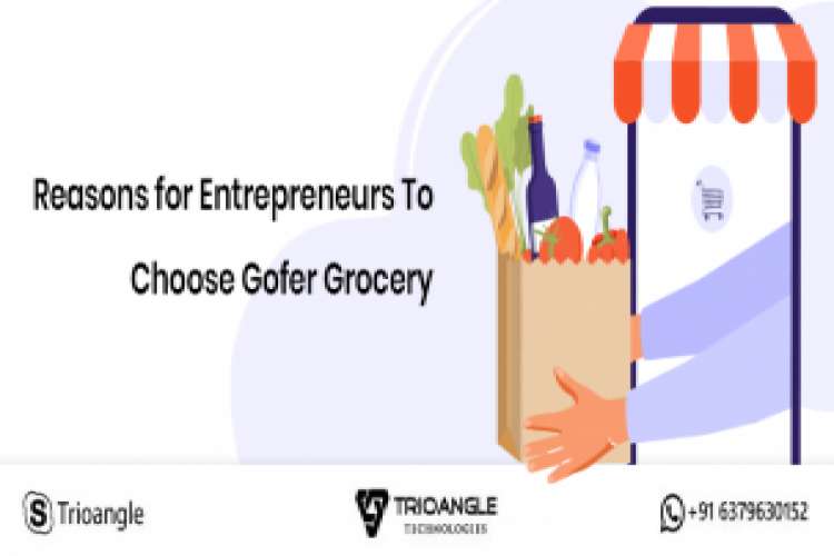 On Demand Grocery Delivery Script 7788939