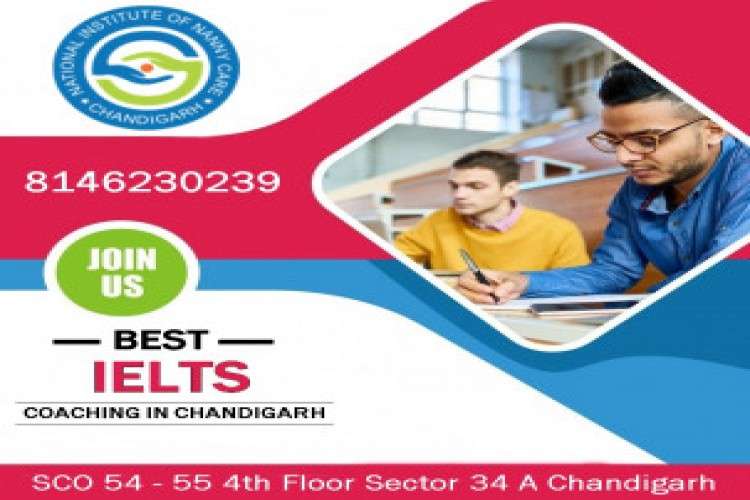 Online Nanny Training 1551543