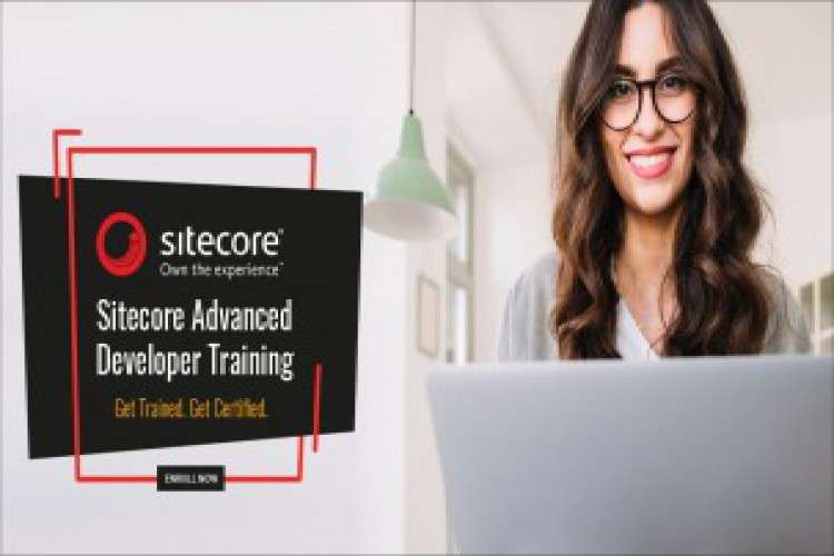 Online Training And Certfication Course For It Sector 9092276