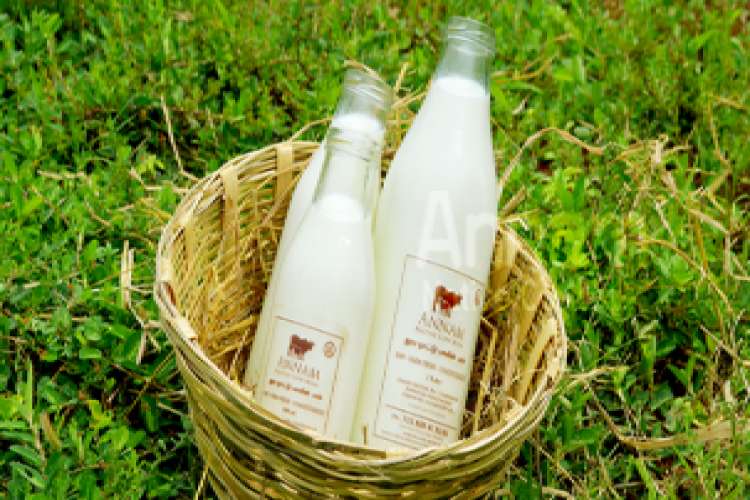 Organic Milk In Chennai 1343266