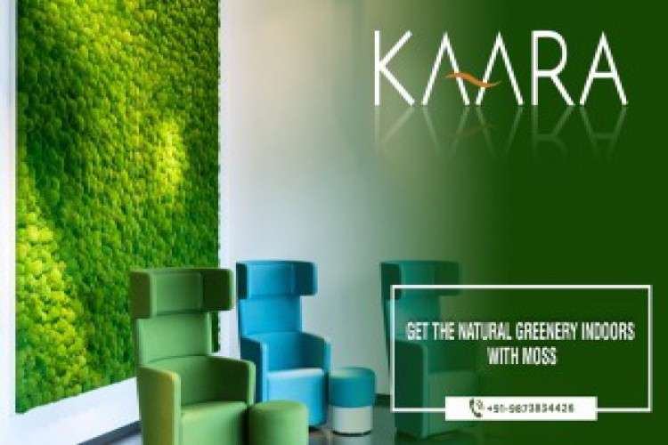 Outdoor Artificial Grass In India 5939326