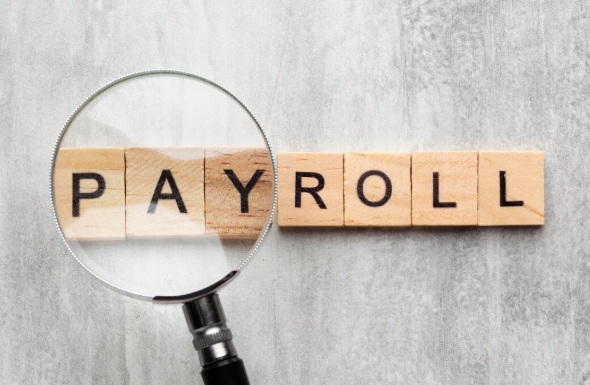 Payroll Software Companies In Delhi For Smart Business Management 17752912139
