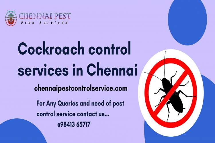 Pest Control Services In Chennai 9059014