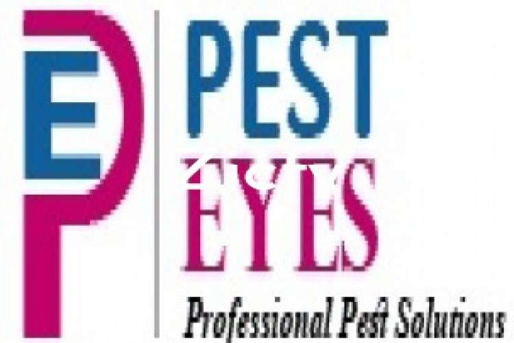 Pest Control Services Termite Control Termite Treatment Cockroach Control Service Anti Termite Treatment 6473069