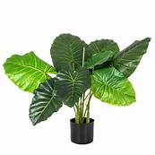 Philo Real Touch Artificial Plant Wholesaler From Delhi 16559929240