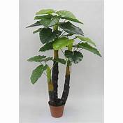 Philo Real Touch Artificial Plant Wholesaler From Delhi 16559929242