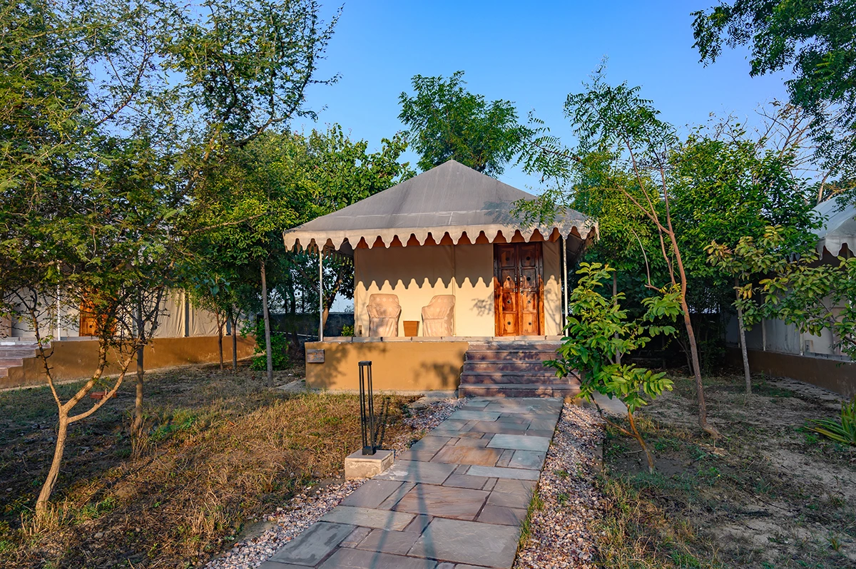 Places To Stay In Sariska 17764171787