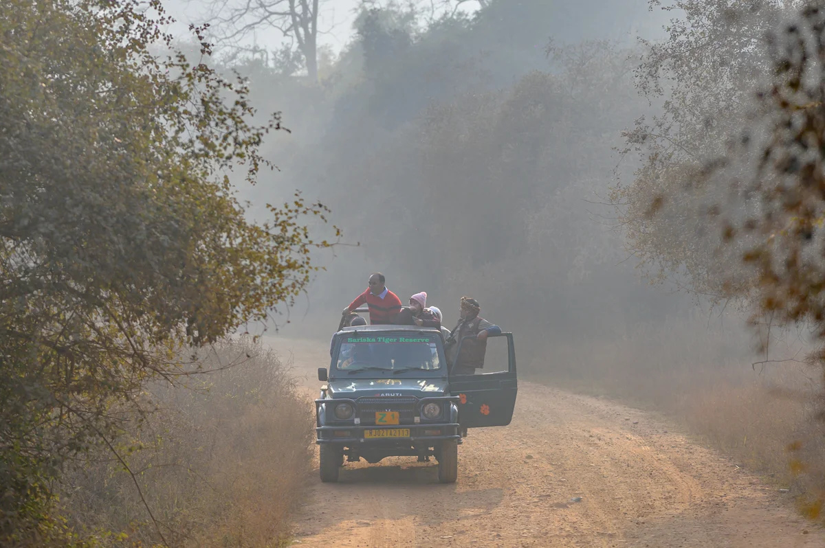 Places To Stay In Sariska 17764171796