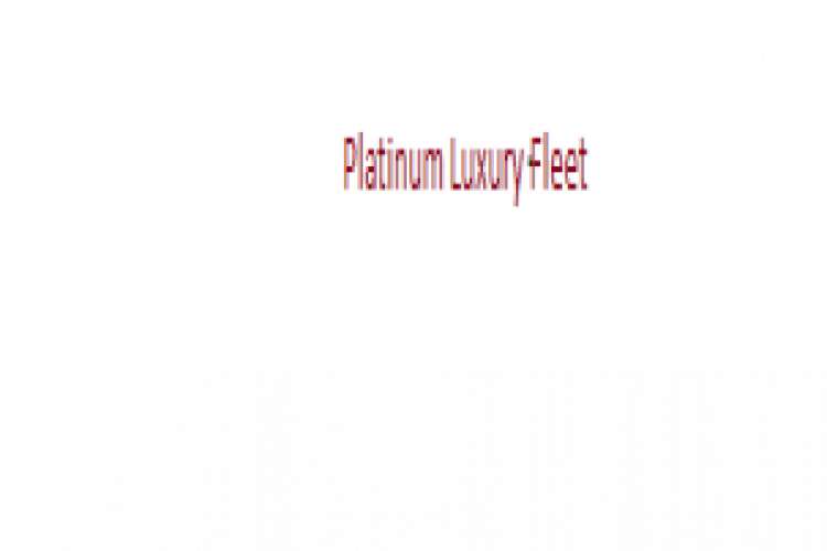 Platinum Luxury Fleet Do Not Provide You With Only A Ride 9770854