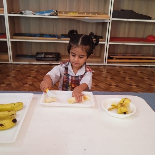 Play School In Bhawanigarh 16672793987