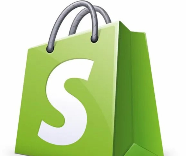Pocket Friendly Shopify Website Development Services In Delhi 17432531445