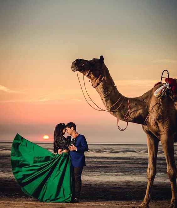 Premium Desert Resorts In Osian Book Your Stay Today 17594947728