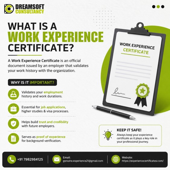 Professional Employment Records Help Build Career Confidence 17850493301