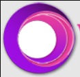 Professional Web Designer In Delhi 17510082459