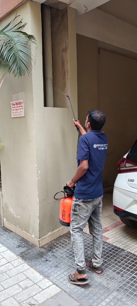 Protection Pest Control 17774013461