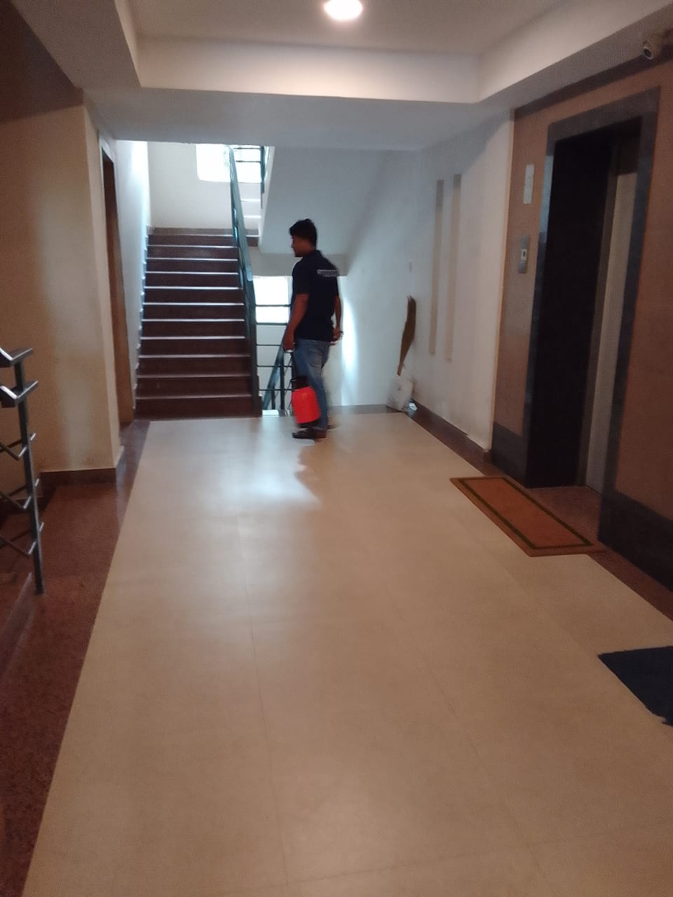Protection Pest Control 177740134610