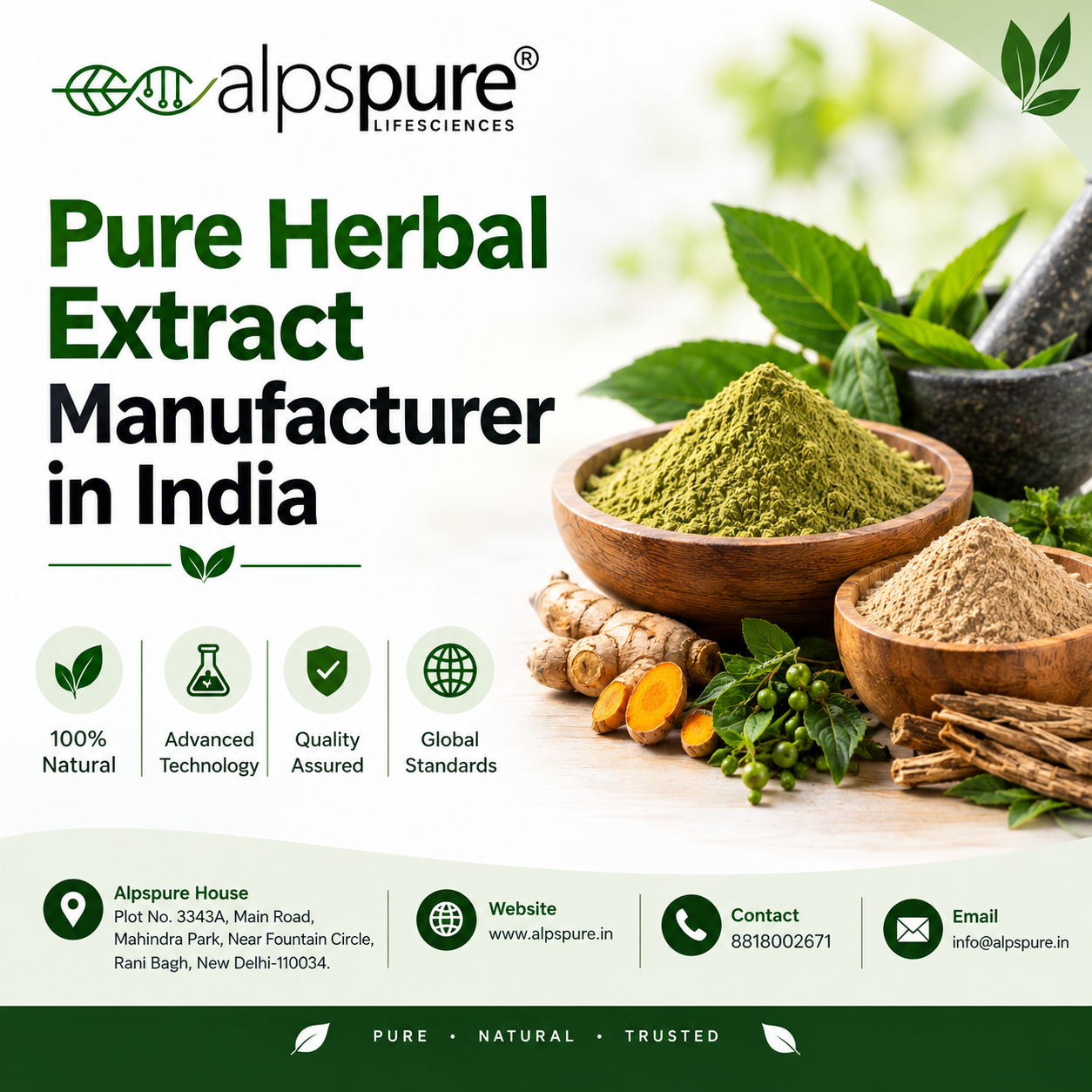 Pure Herbal Extract Manufacturer In India 17891967519