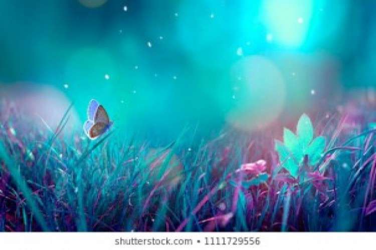 Python Training In Chennai 730129