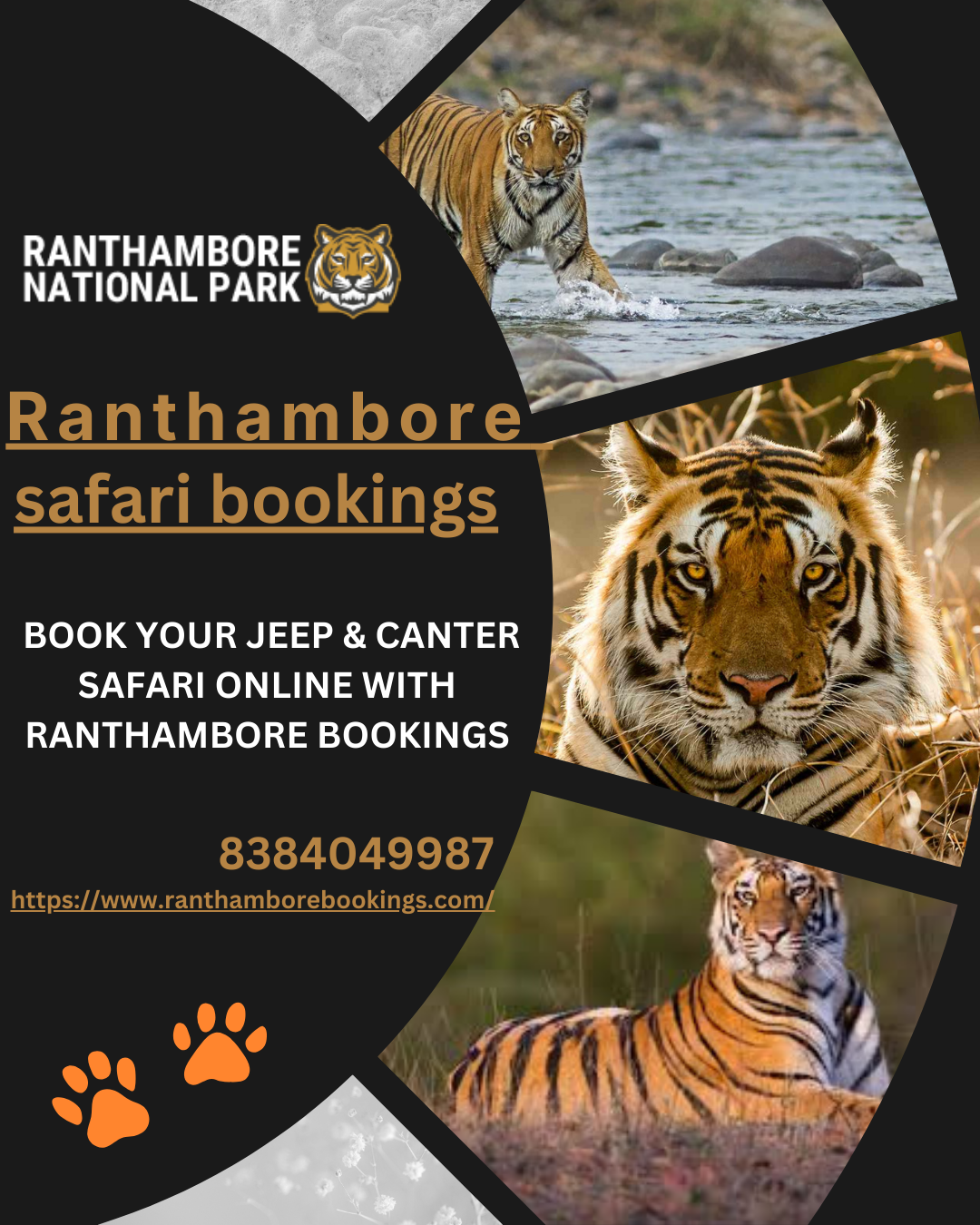 Ranthambore Tiger Safari Booking Online 17383855972