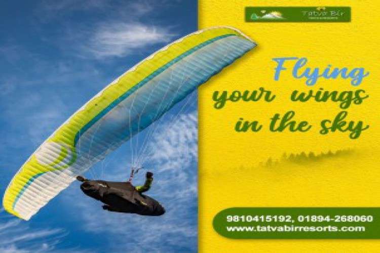 Resorts In Palampur With Swimming Pool 9780802