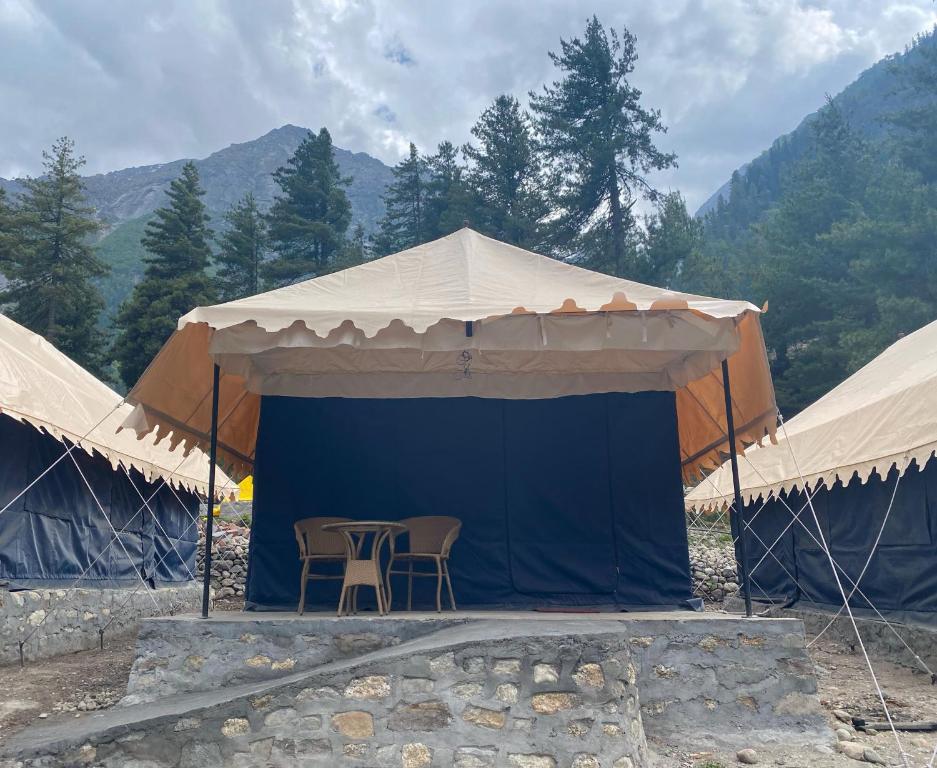 Sailya Camping And Trekking In Rakchham Kinnaur Himachal Pradesh 168086208910