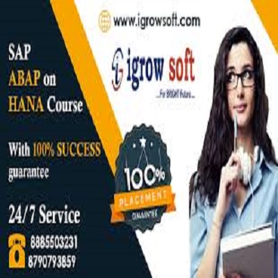 Sap Abap On Hana Online Training In Ameerpet Hyderabad 17612905117