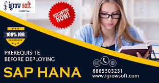 Sap Abap On Hana Online Training In Hyderabad Igrowsoft 17642284563