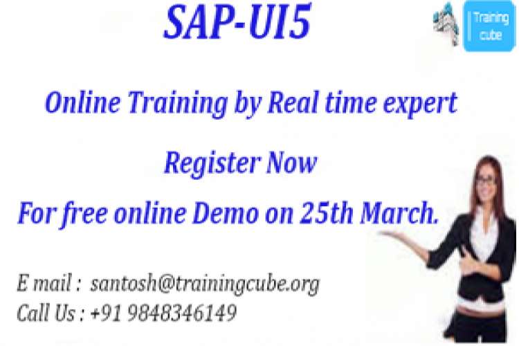 Sap Fiori Online Training 7379590