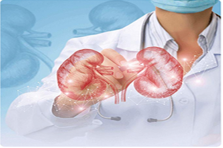 Save Kidneys In Kolkata 16285768619