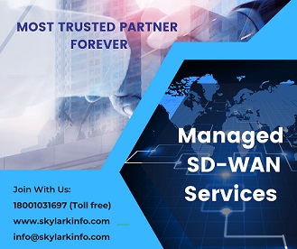 Sd Wan Solutions And Services 16880992099