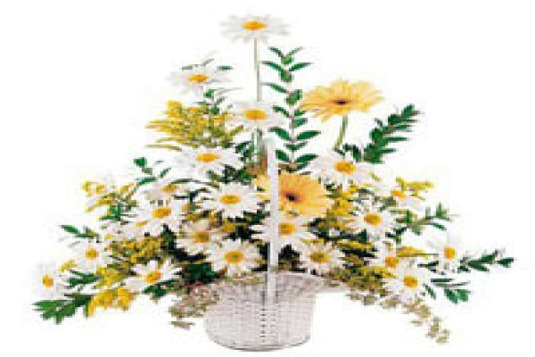 Send Exclusive Mothers Day Gift To Bangalore 16458632882