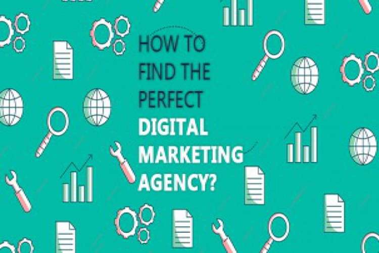 Seo Company In Bangalore 8101244