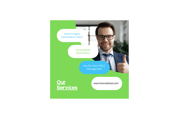 Seo Provider Noida India 16446478812